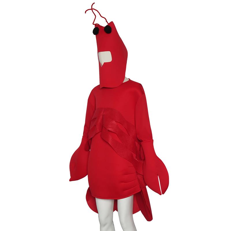 Halloween Party Costume Perfor – Ethnic Wear recenzja i cena